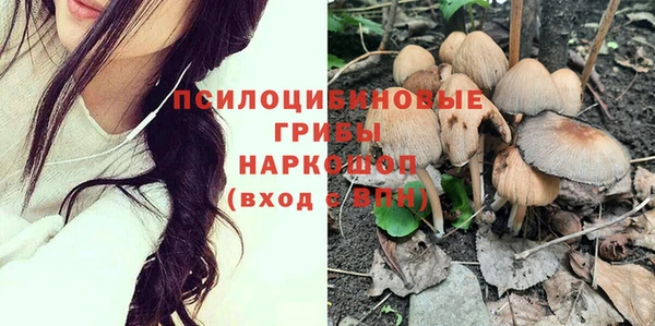 apvp Козловка