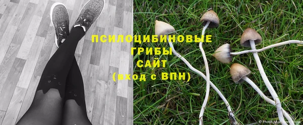 дмт Корсаков