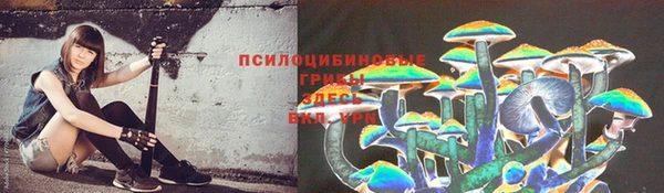 ECSTASY Костерёво
