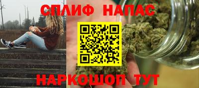 амф Кандалакша