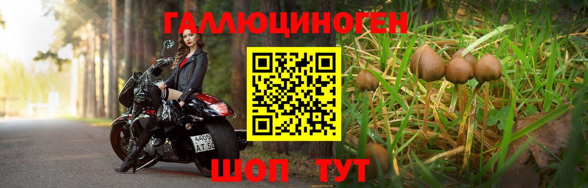 Псилоцибиновые грибы Psilocybine cubensis Учалы